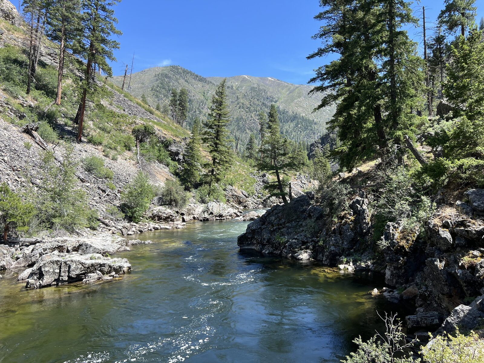Misty rowing a raft on Idaho's Salmon River during a 295 mile journey